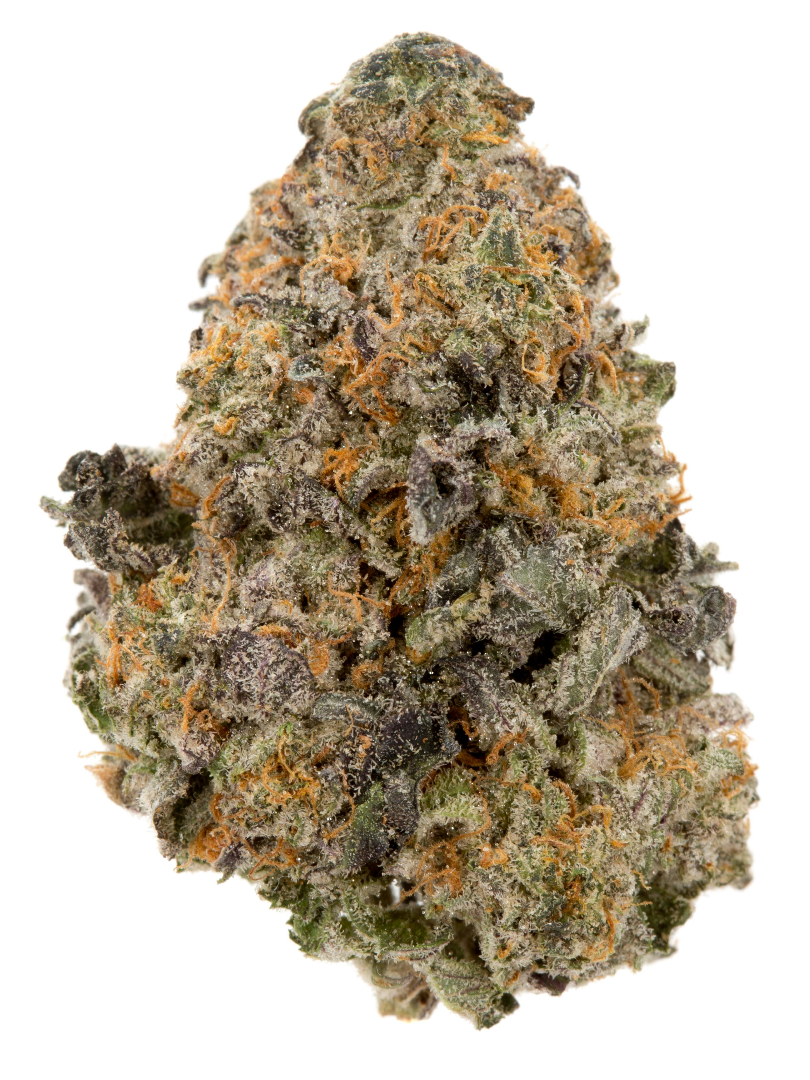 Apothecary Botanicals Gelato 3.5g Dried Flower (SKU1032077)