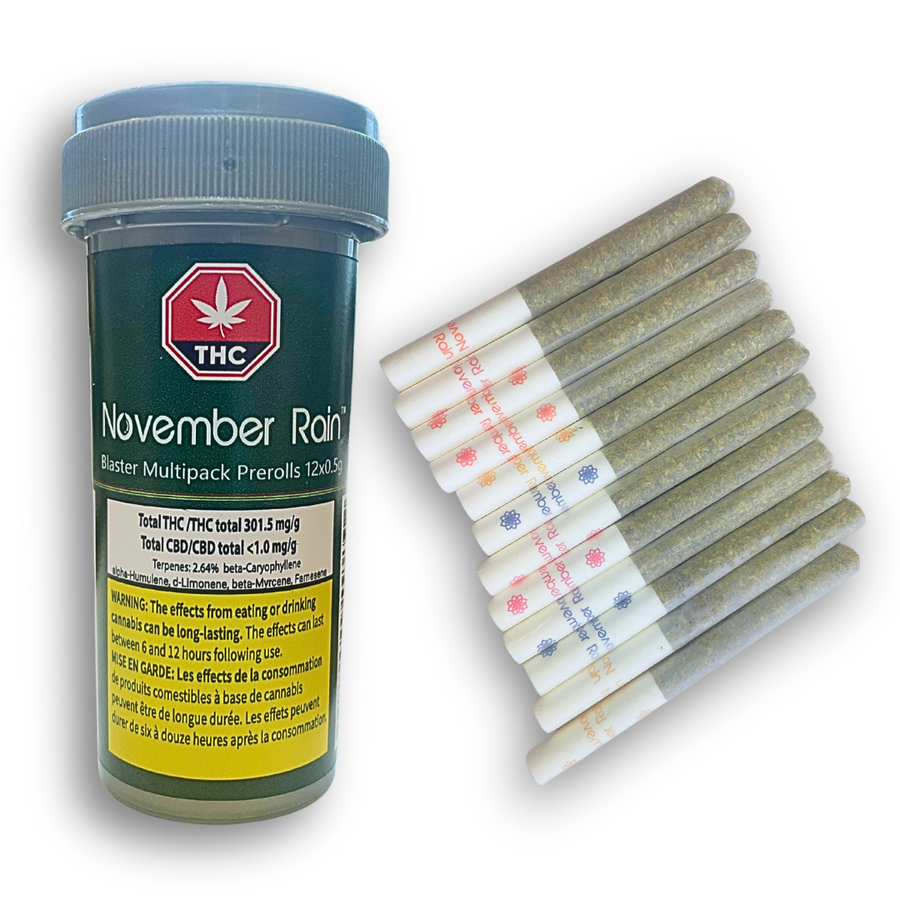 November Rain-Blasters Multi-pack Mango, Strawberry, Pineapple, & Blueberry 12x0.5g (SKU1068549)