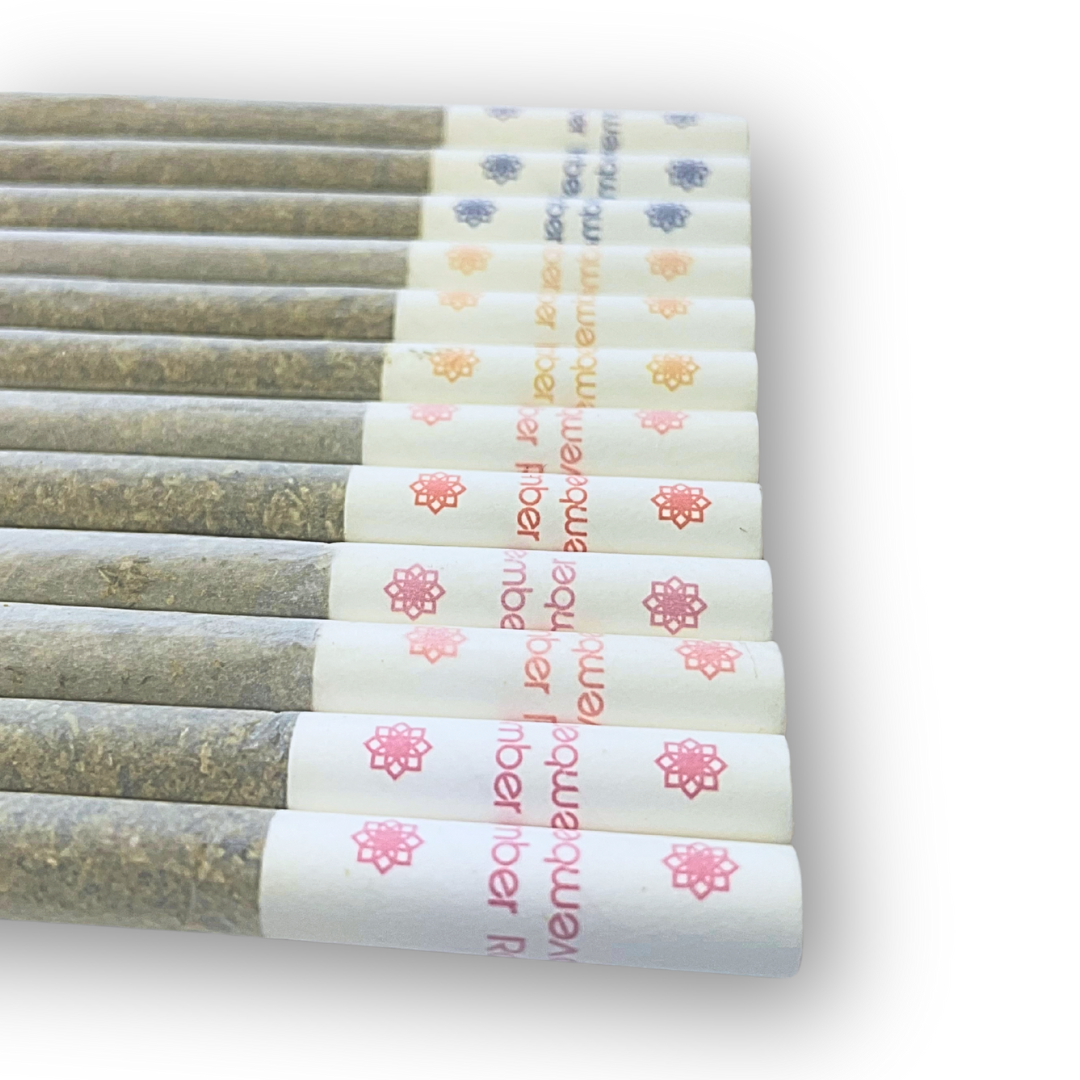 November Rain-Blasters Multi-pack Mango, Strawberry, Pineapple, & Blueberry 12x0.5g (SKU1068549)