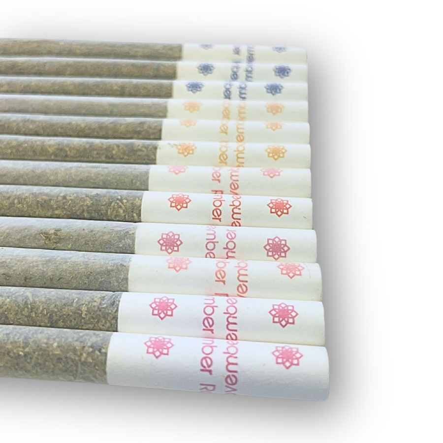 November Rain-Blasters Multi-pack Mango, Strawberry, Pineapple, & Blueberry 12x0.5g (SKU1068549)