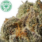 WEEDS-G*SHERS-28G SKU1071110