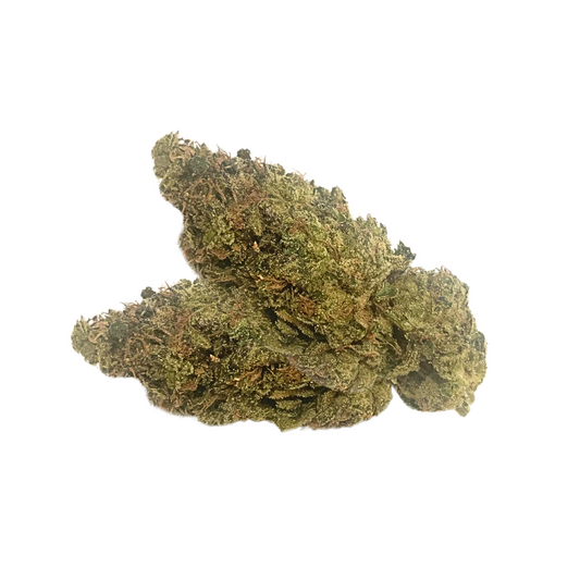 November Rain - Midnight Kruntz Dried Flower 7g