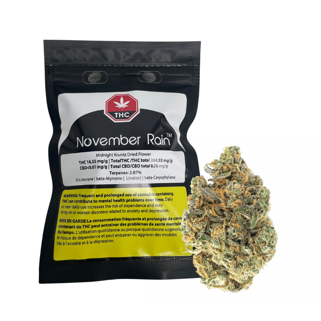 November Rain - Midnight Kruntz Dried Flower 7g